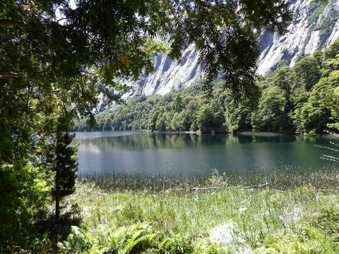 sfondi lake, wilderness