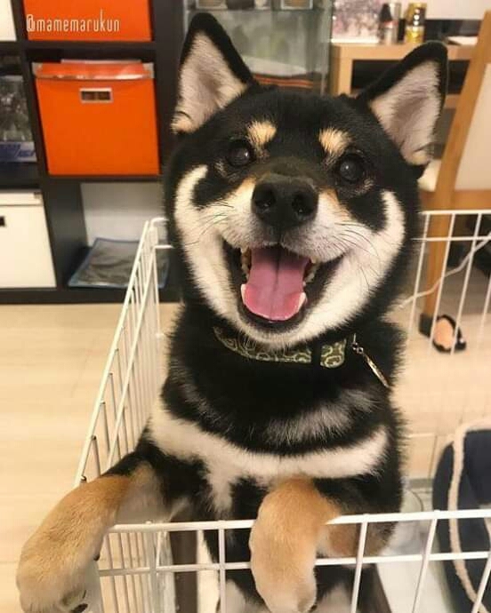 ❤