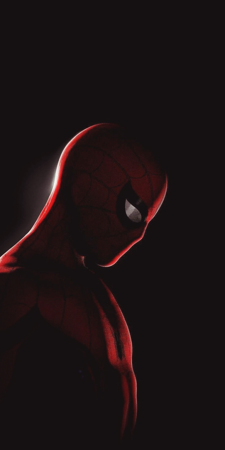 SPIDERMAN SPIDERMAN