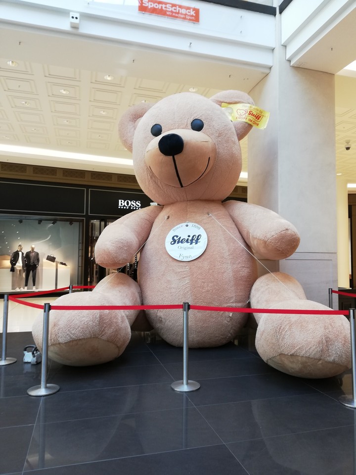 tedi