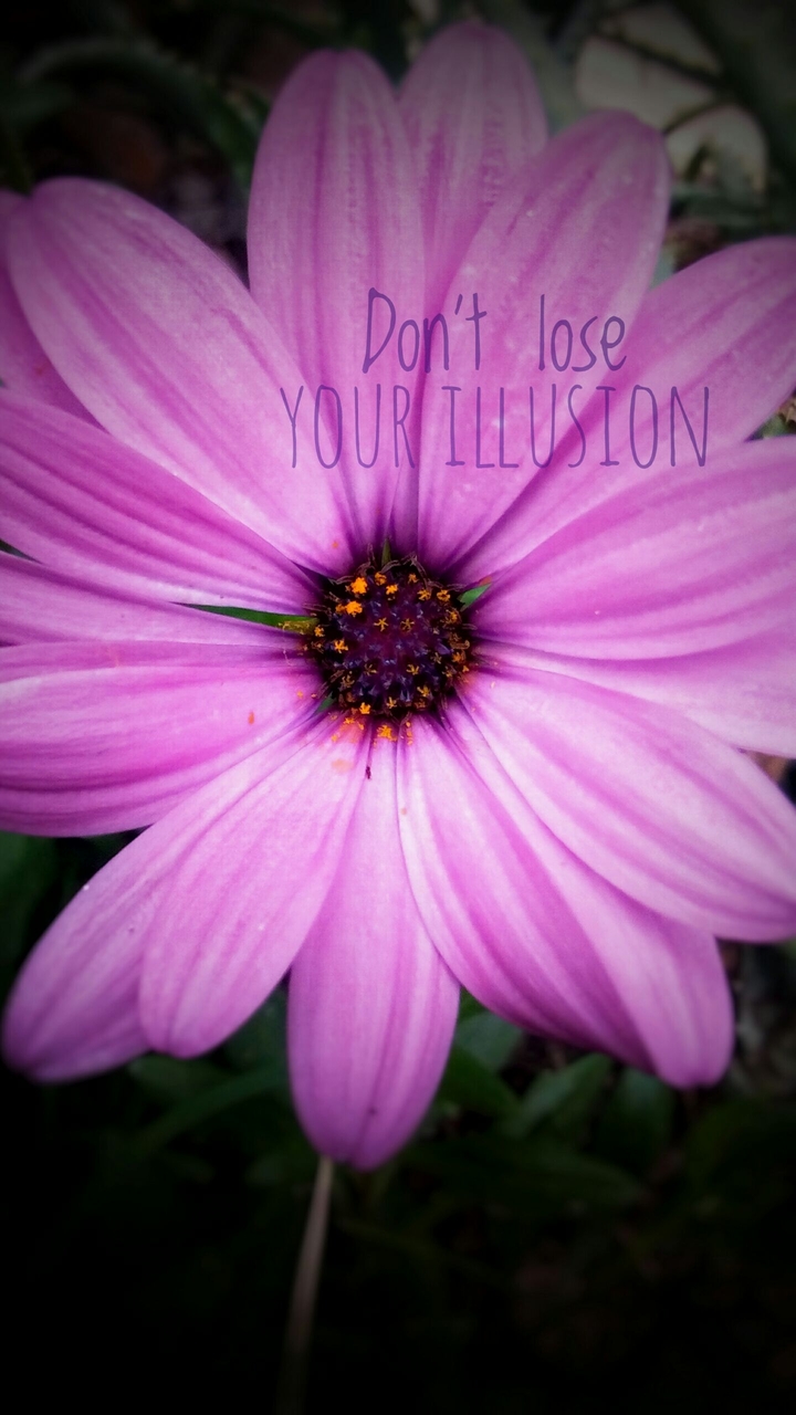Don't lose your illusion