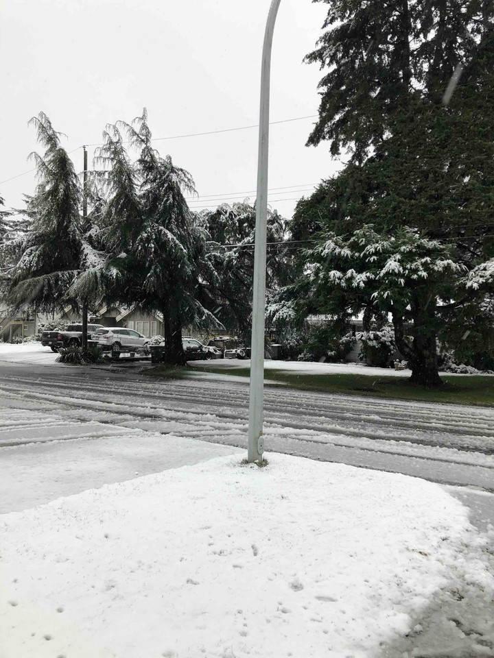 snow_white