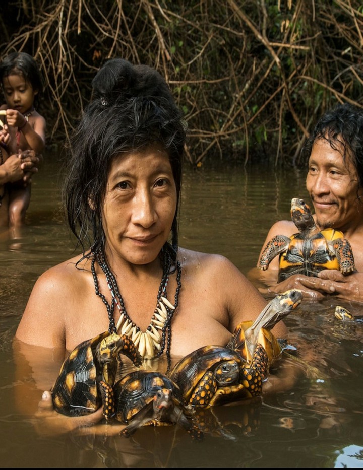Amazonia Tribe and Turtle Soup