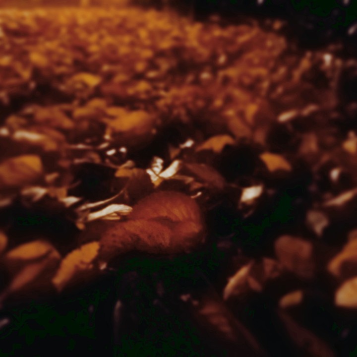 Fall
