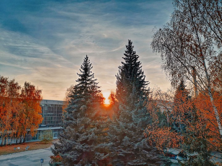 sunset