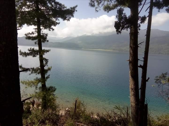 RARA