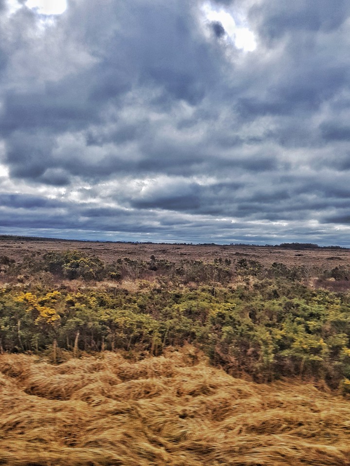 Irish countryside