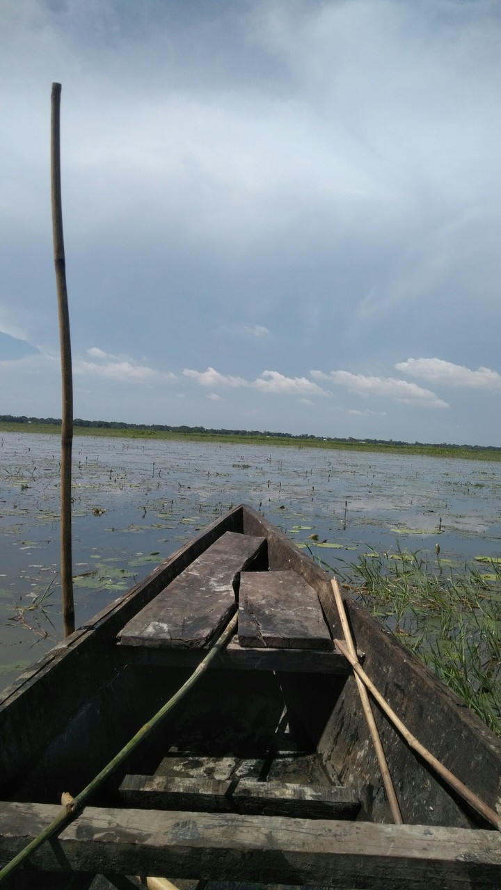 Bangladesh Flood