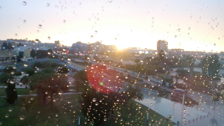 rainy window