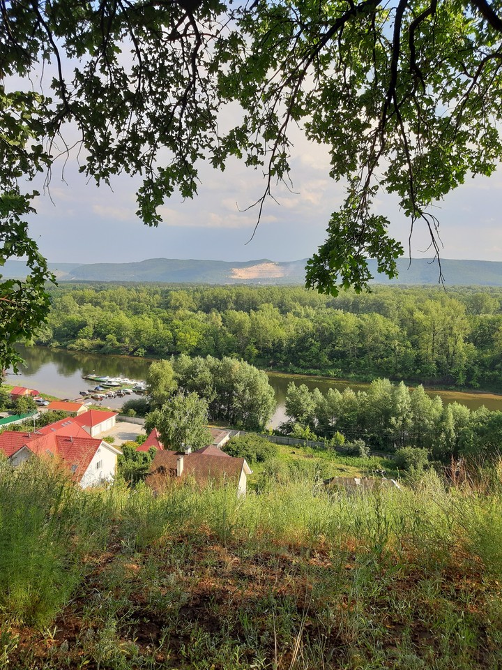 лес и горы