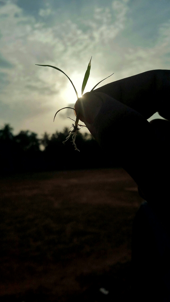 let the light speak