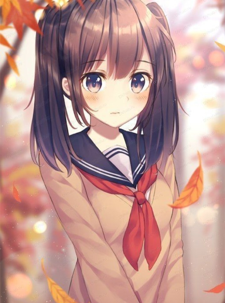 anime