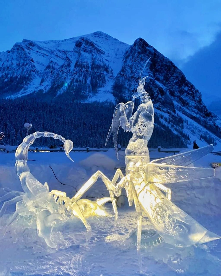ice