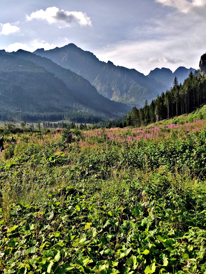 Tatry słowackie