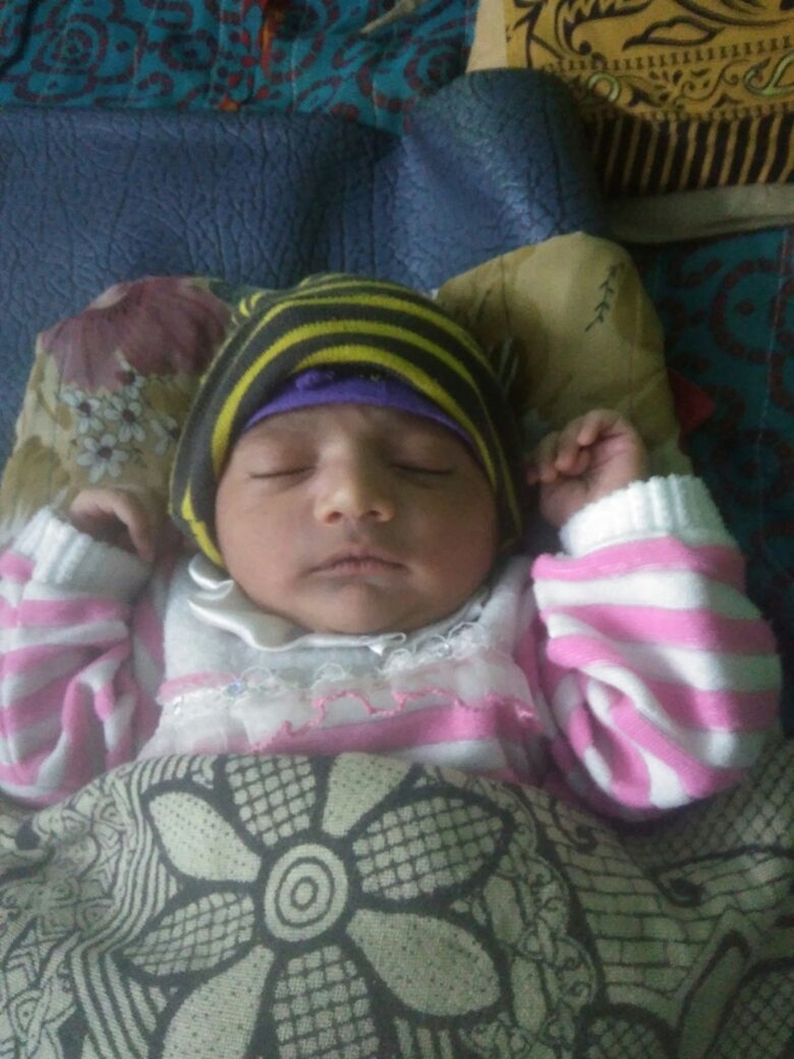 sabha