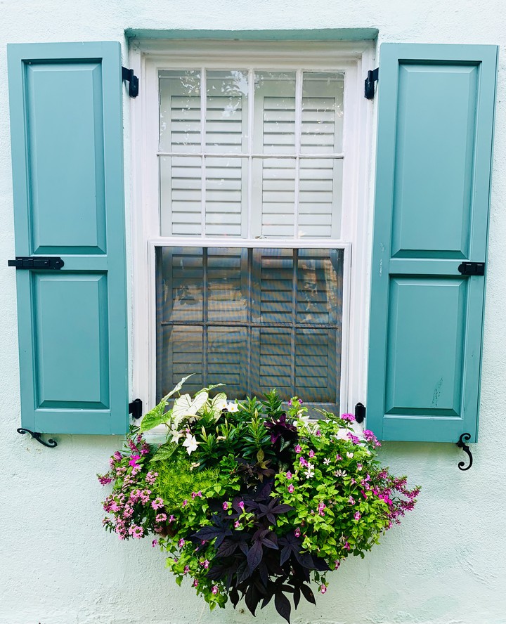Beautiful window