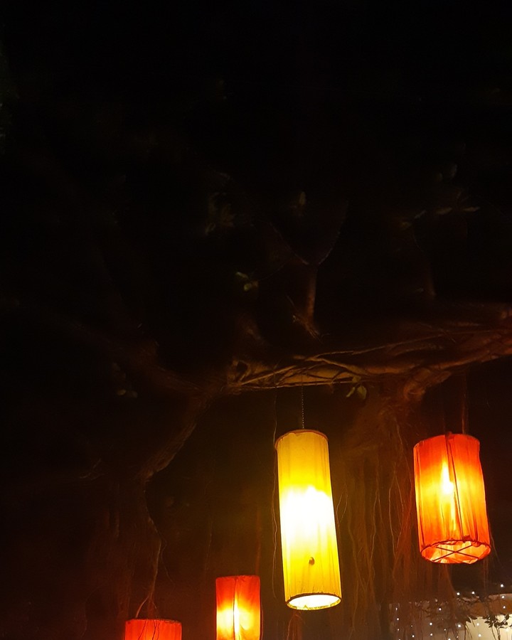 night Life