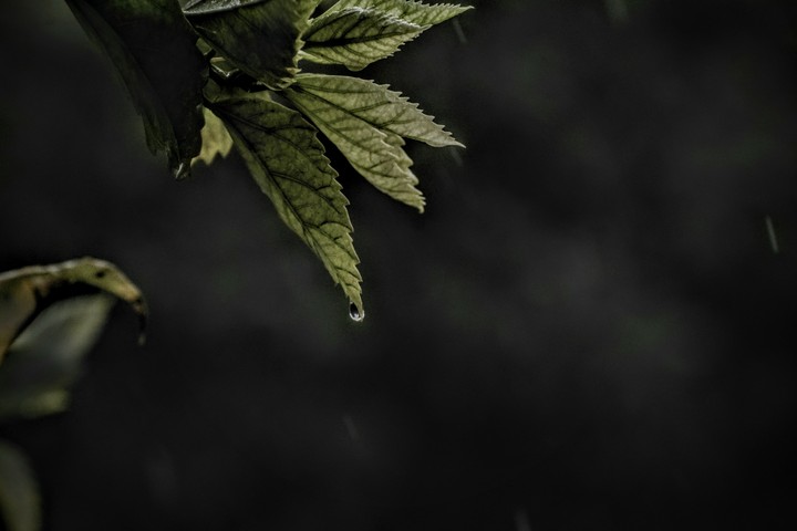 The last drop.