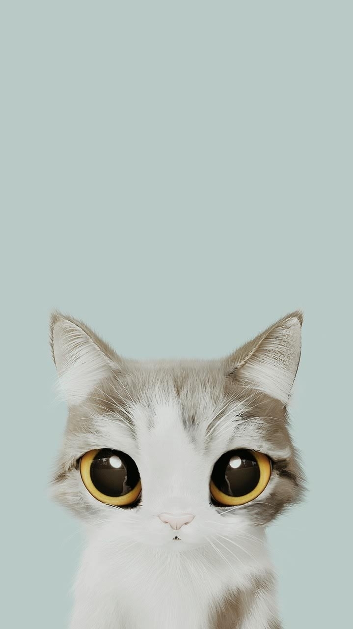 нарисованый котик