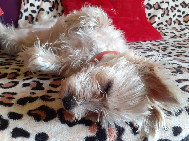 Sleeping in the morning