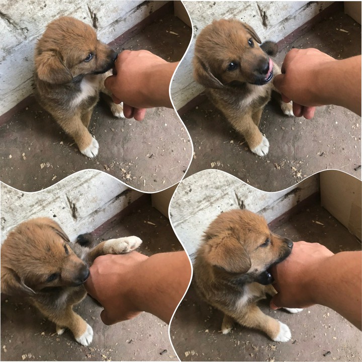 lovely bite