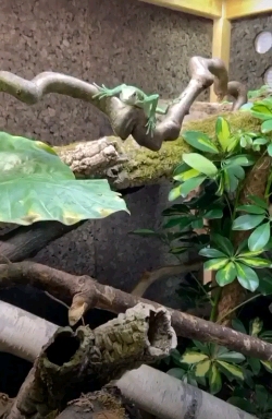 ♡♡♡♡