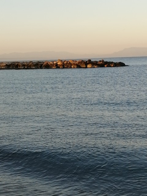 From the beach of Zeralda, Algeria
