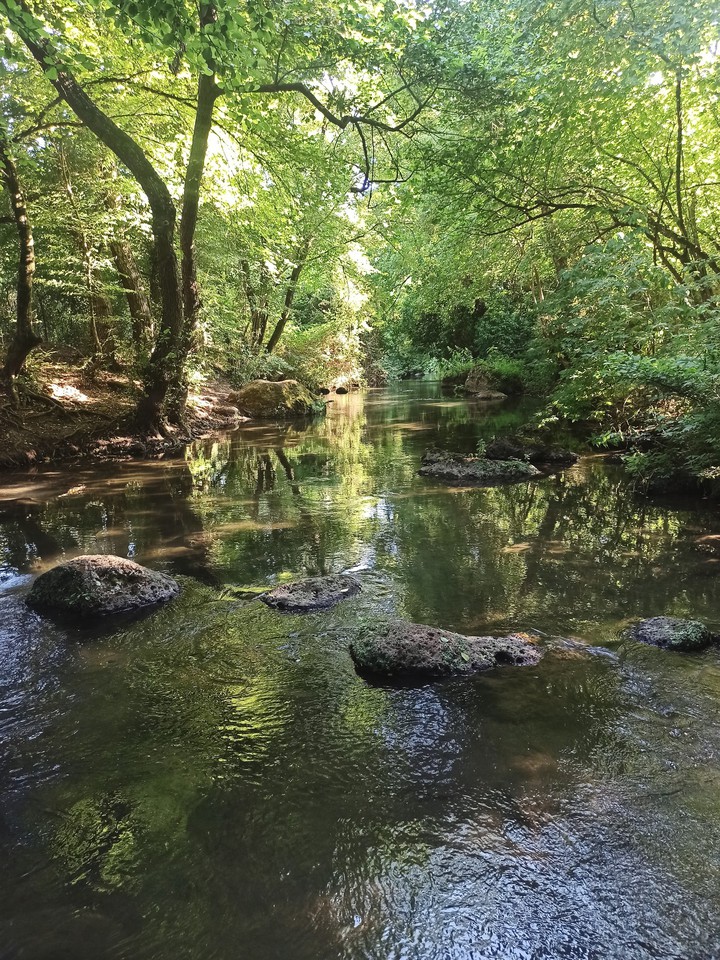 .