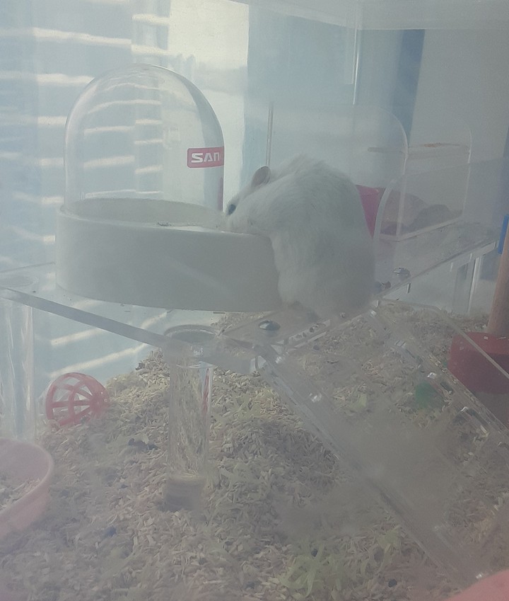 목말라