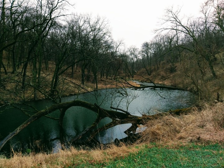 The lake in the woods