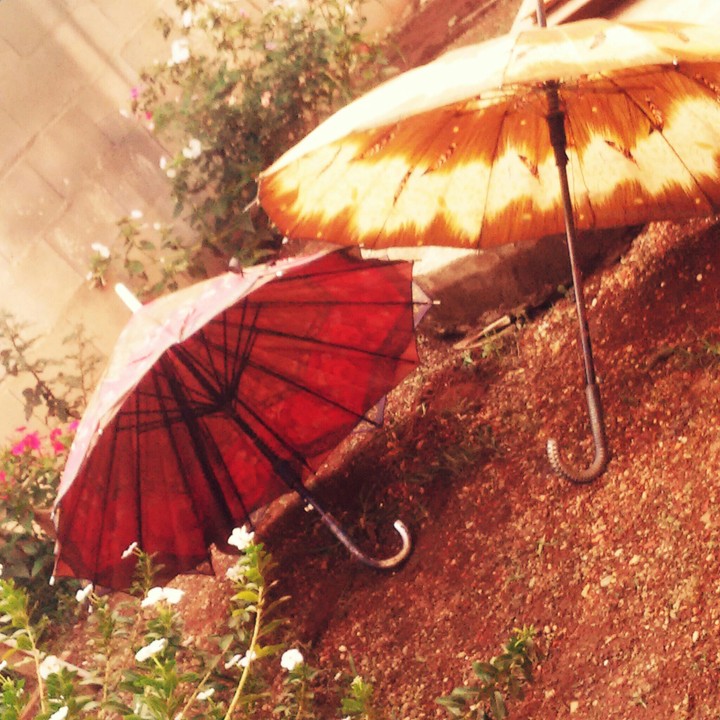 umbrellas