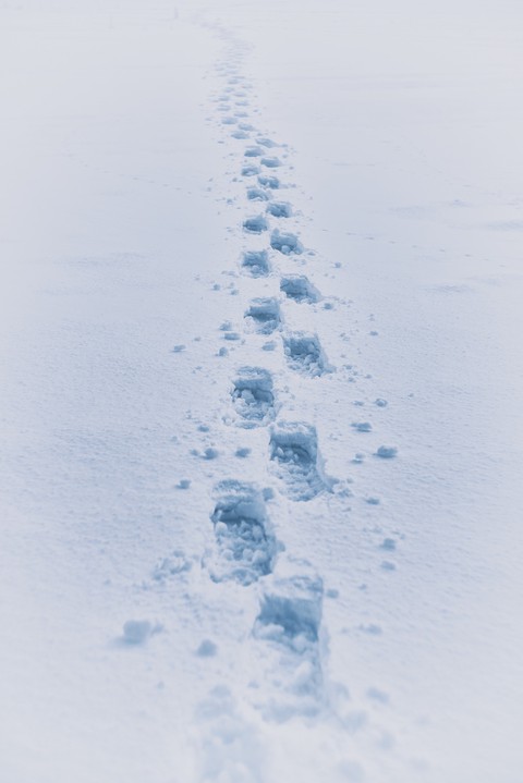 footprints in the snow
