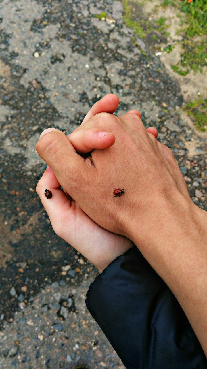 love