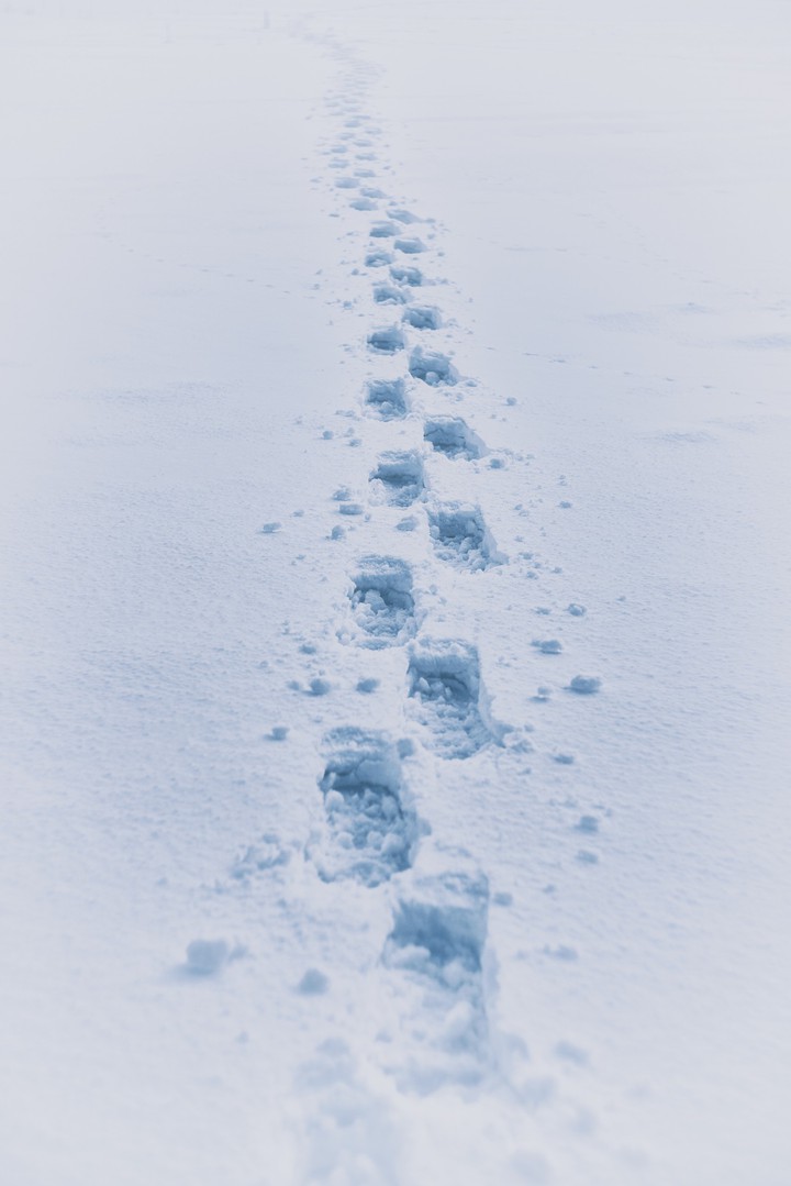 footprints in the snow