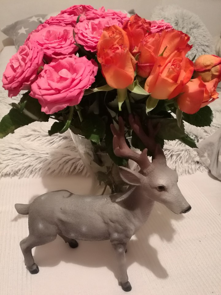 A gift from my dear❤️❤️❤️❄️