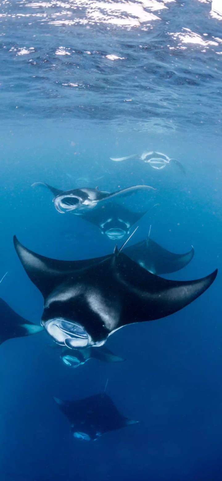 in depths