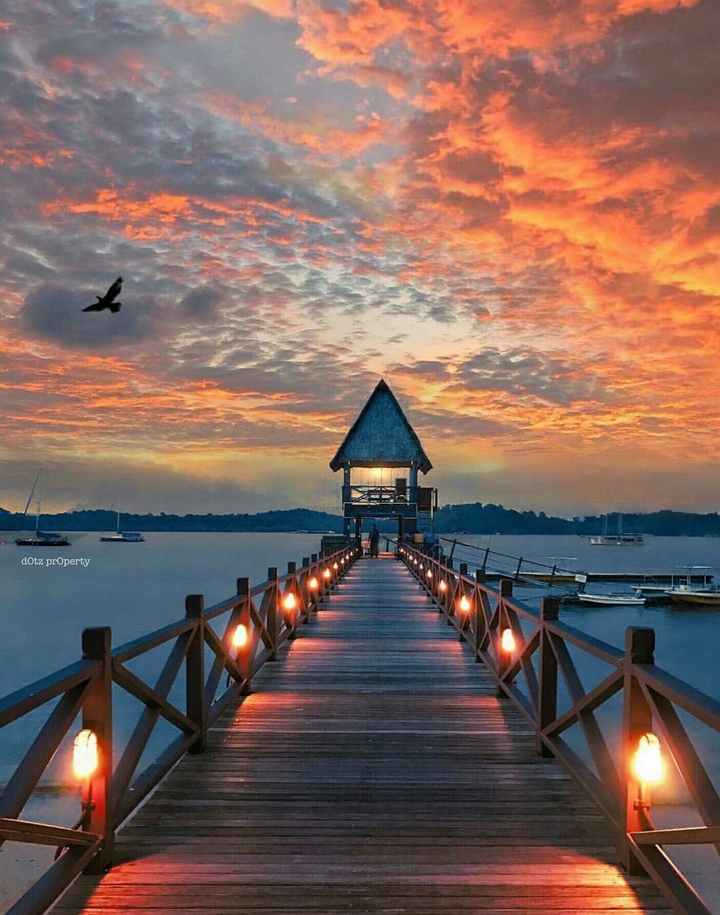 peace road