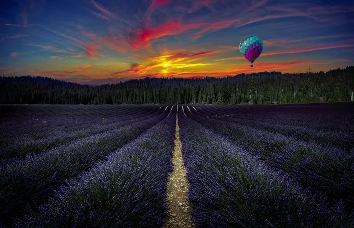field