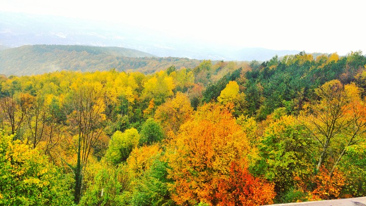 Autumn