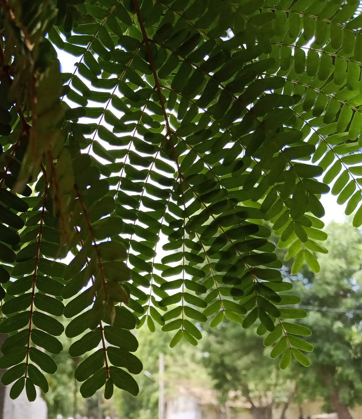 Beauty of Nature
