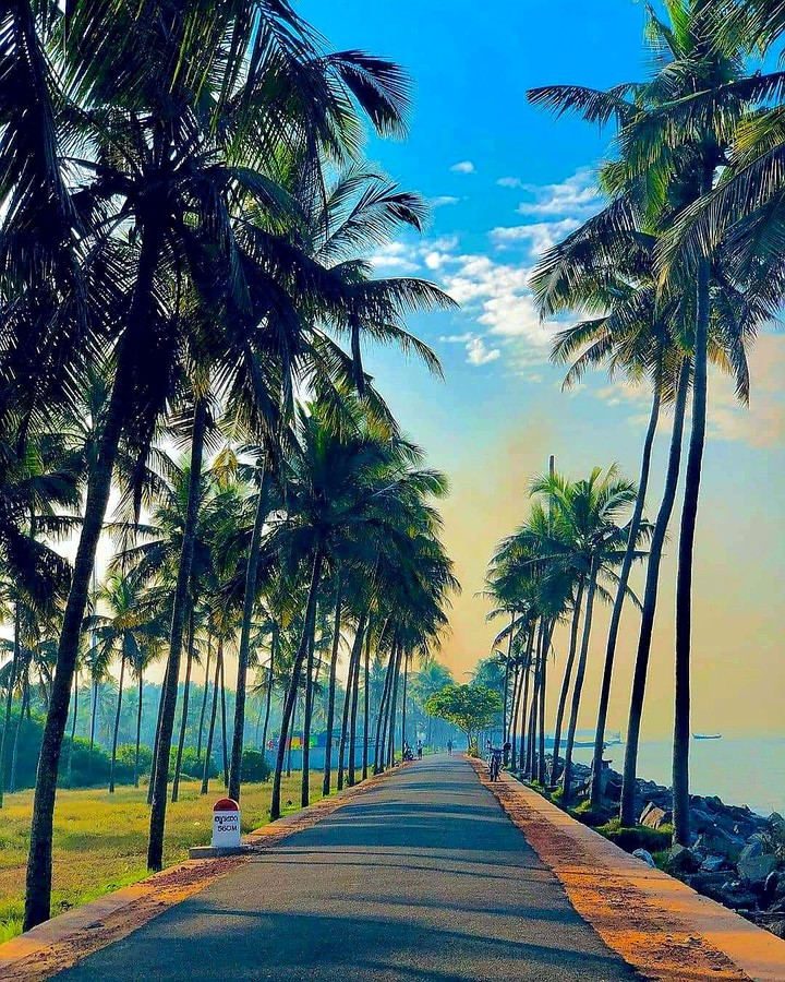 Kappad Beach (Kerala)