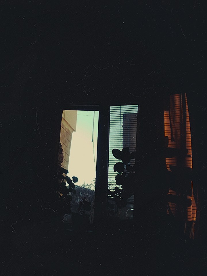 Morning in the window