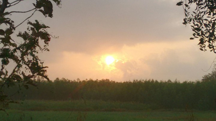 Rising sun