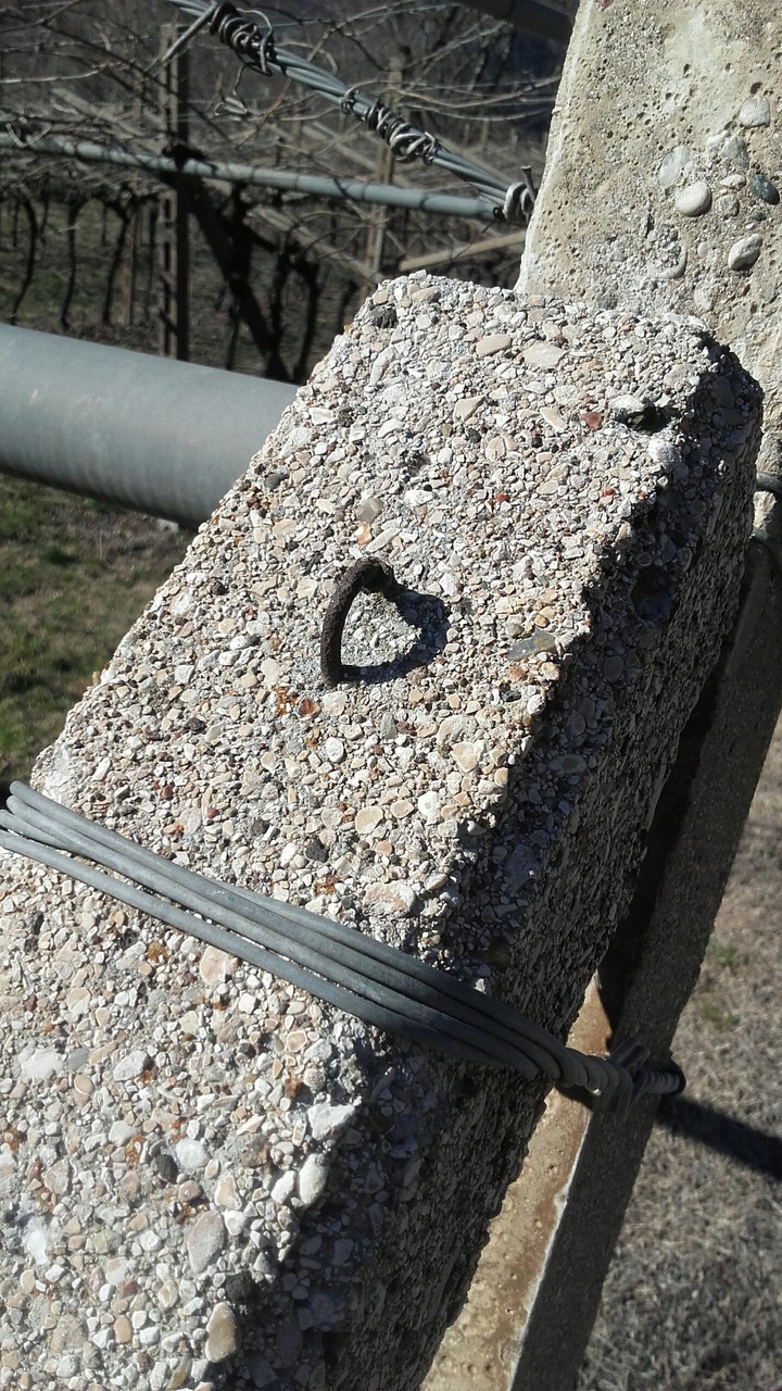 Even cement has an heart