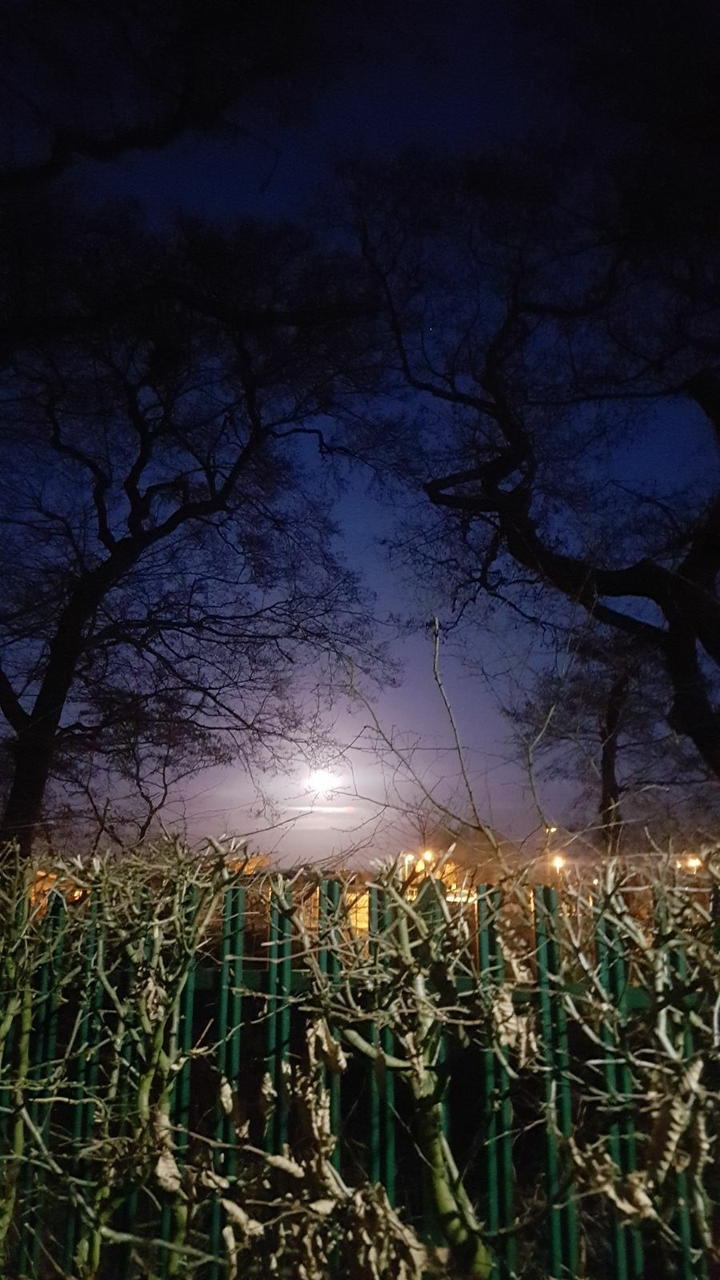 view of the moon
