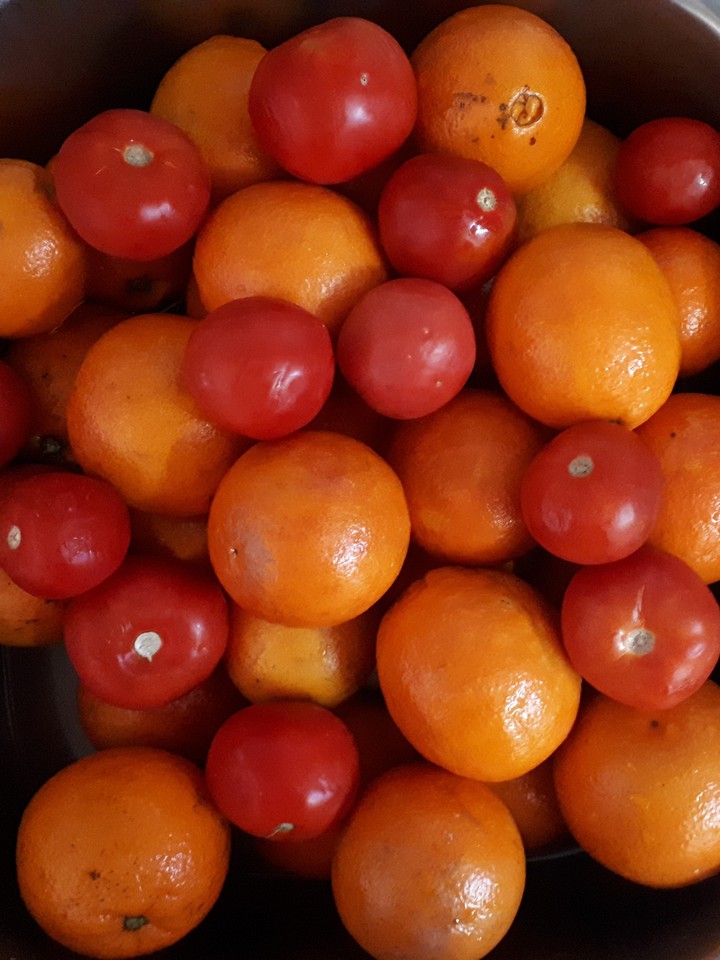 orange & tomato