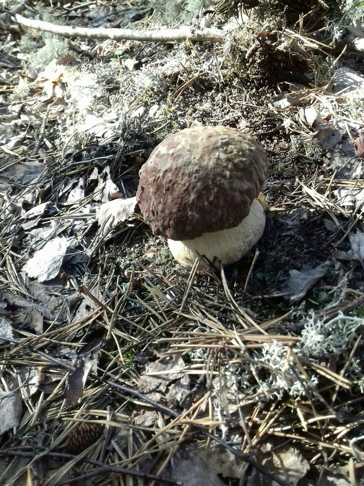 ?