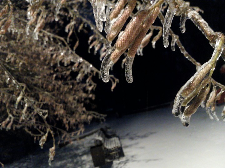 ice in november