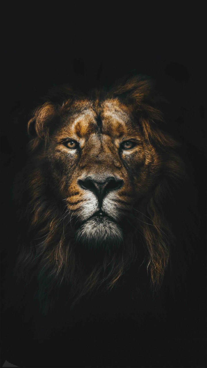 king