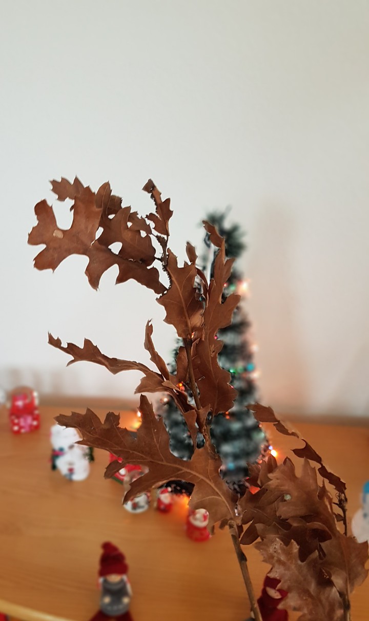Merry Christmas Srećan Božić